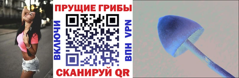 Галлюциногенные грибы ЛСД Лосино-Петровский