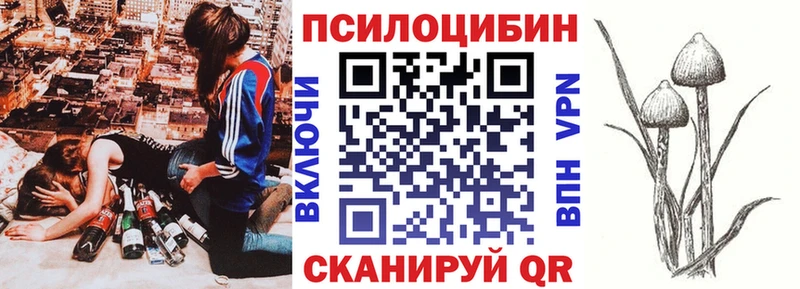 Псилоцибиновые грибы ЛСД  магазин    Лосино-Петровский 