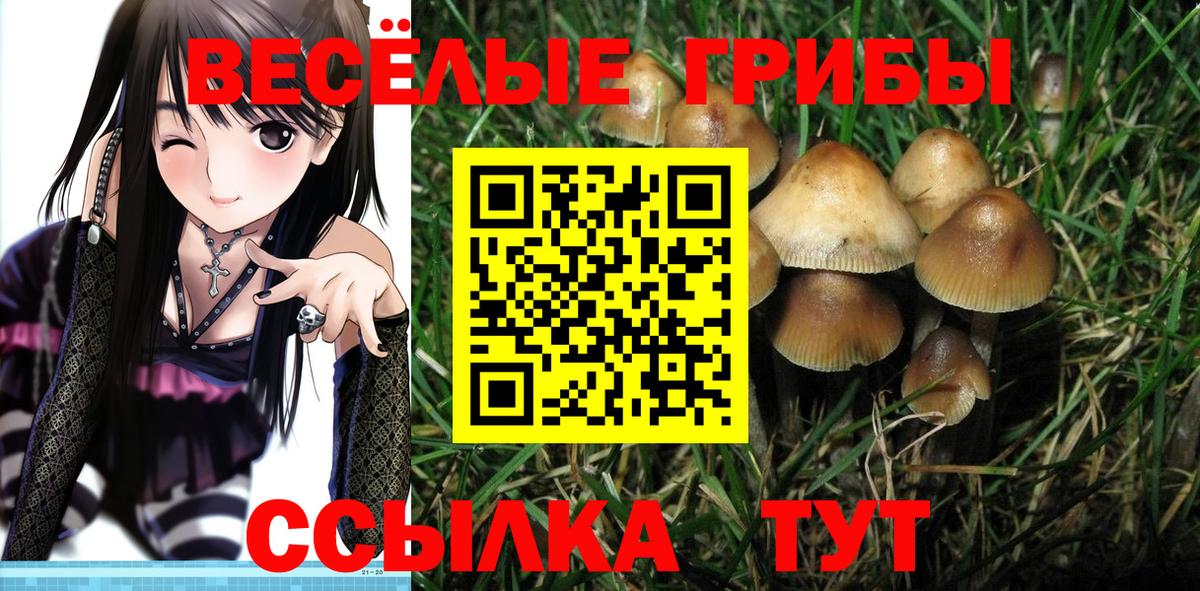 Лосино-Петровский  Псилоцибиновые грибы Psilocybe  Вход с VPN 