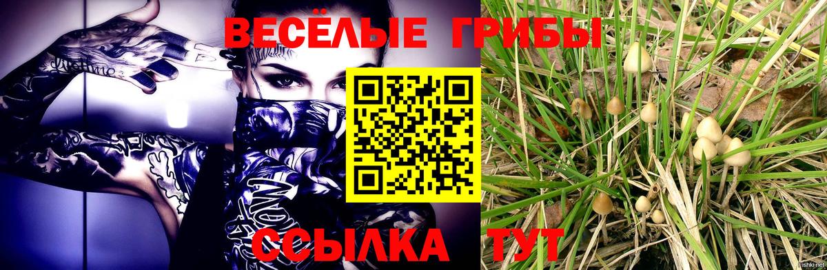 Галлюциногенные грибы прущие грибы Лосино-Петровский
